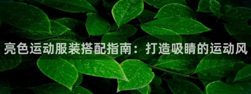 千亿国际qy996