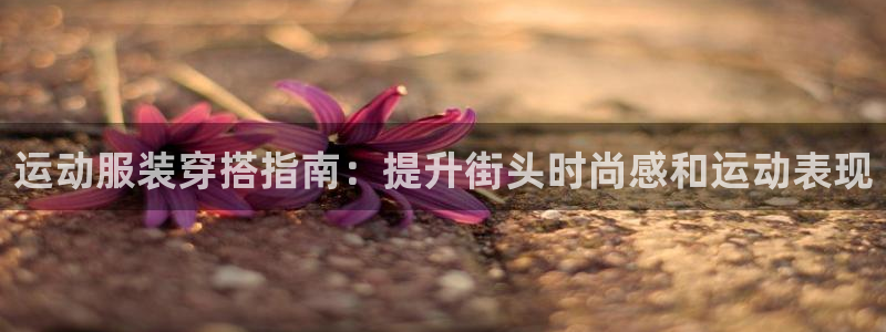 千亿体育国际官方网站入口