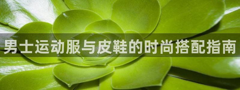 qy千亿体育官方网站