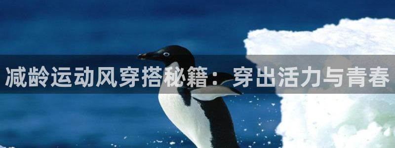 千亿国际手机官网