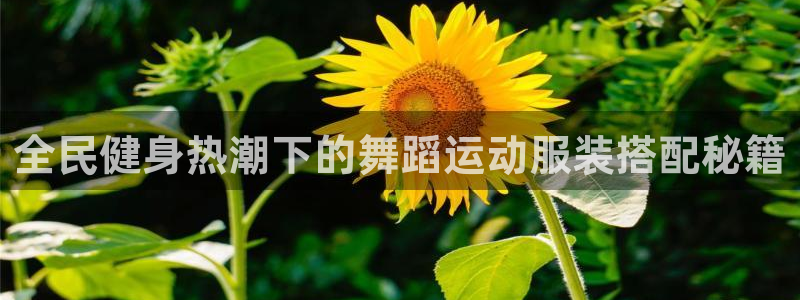 千亿国际手机新版app
