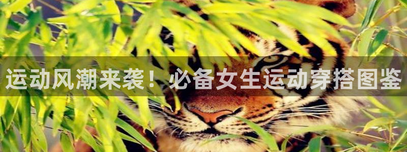 千亿cc国际