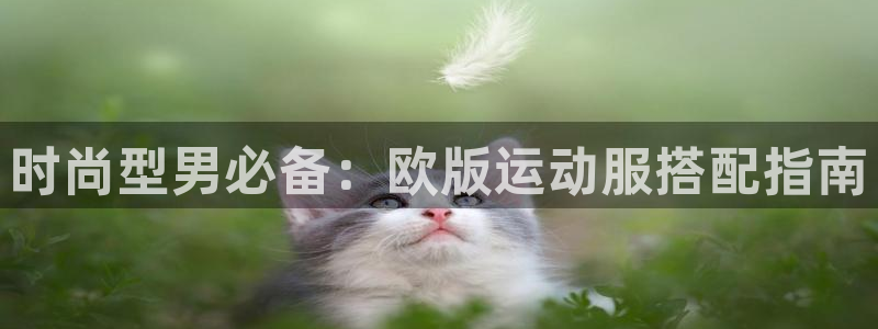 千亿cc国际