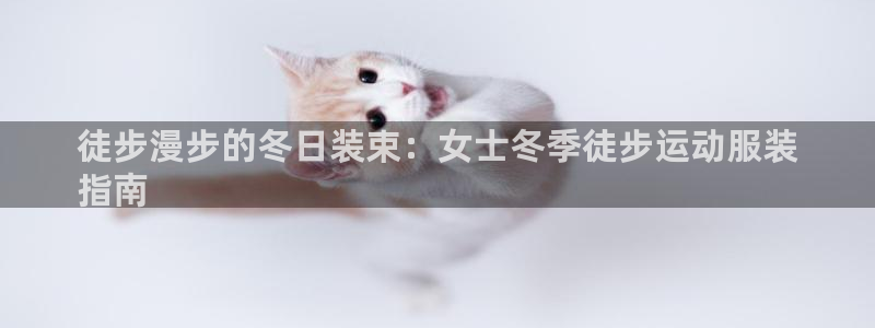 千亿国际qy88vip下载