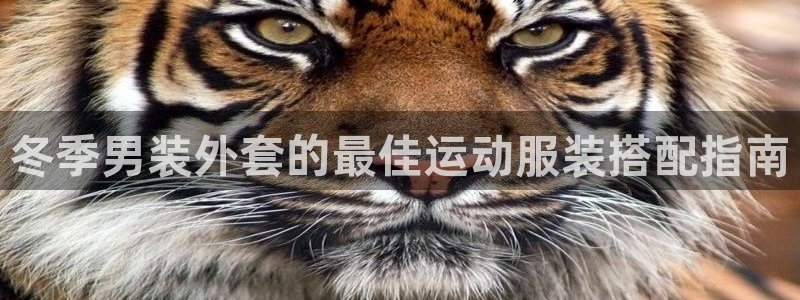 千亿国际官网登录