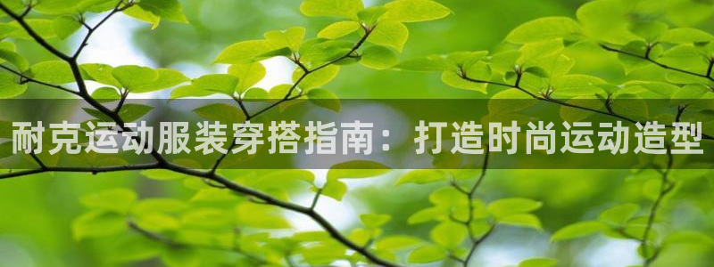 千亿国际平台