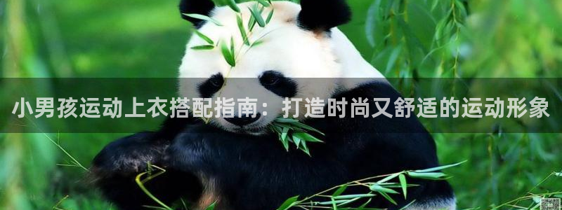 qy千亿体育登录入口