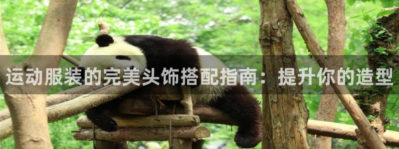 千亿国际网站